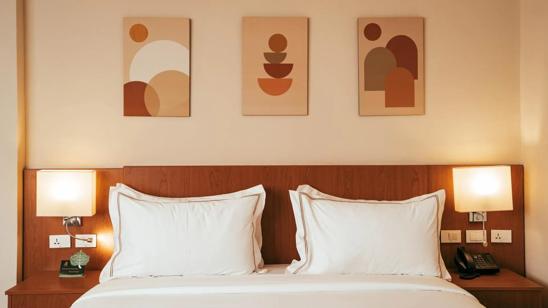 Aya Addis Hotel  Addis Ababa
